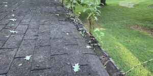 Gutter Screen Removal & Cleaning Augusta, GA