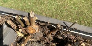 Commercial Gutter Cleaning Augusta